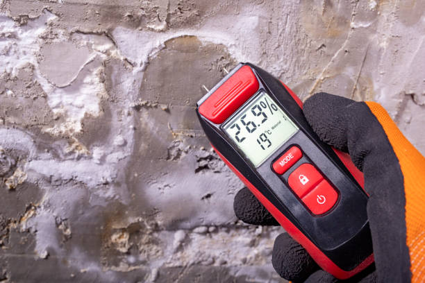 Best Mold Testing  in Emmett, ID