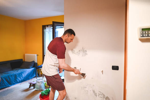 Best Mold Cleaning Services  in Emmett, ID